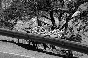 31052013_015_